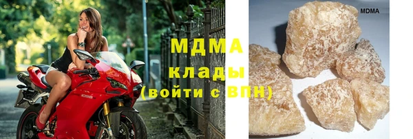 ешки Бородино